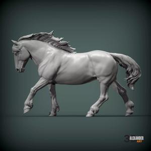 Percheron running