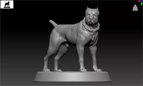 Pitbull terrier