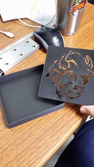 NDSU Bison Drip Tray