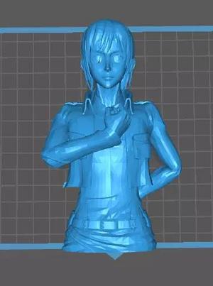 Sasha Blouse figure