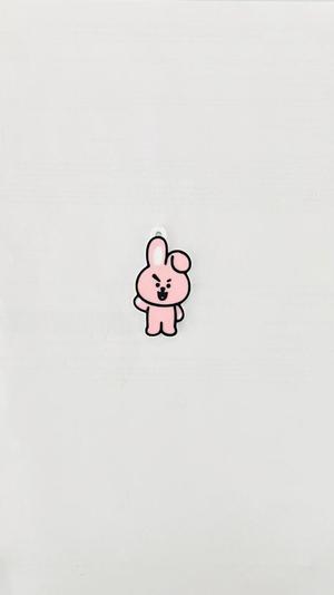 BTS BT21 COOKY BTS KEY RING
