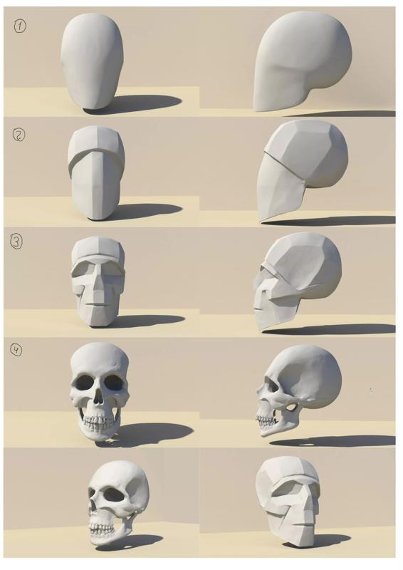 SketchAnatomy  Studying the human figure