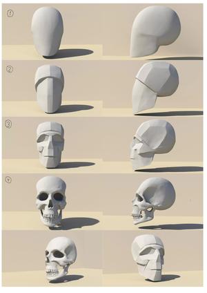 SketchAnatomy  Studying the human figure