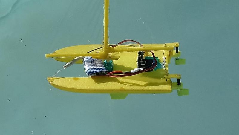 Micro catamaran rc