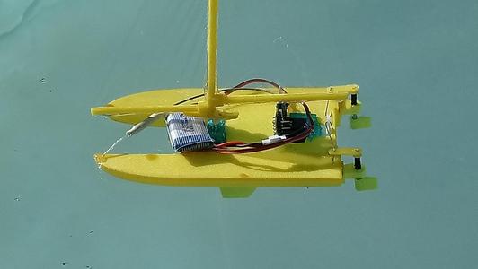 Micro catamaran rc