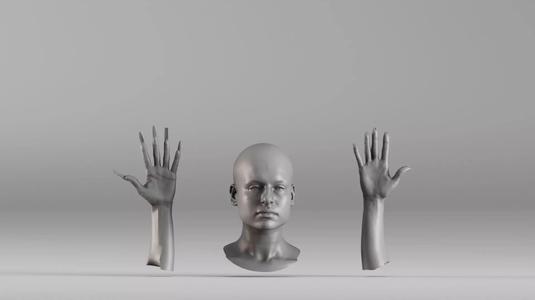 001656 3D Scan of Human Head and Hands