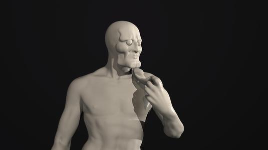 Handsome Squidward "David" (Handsome Squidward)