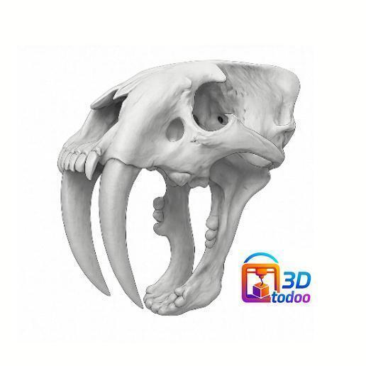 Sabretooth Sabretooth Skull