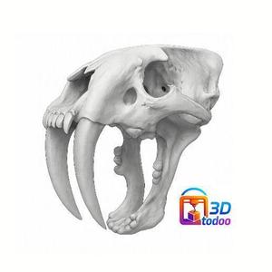 Sabretooth Sabretooth Skull