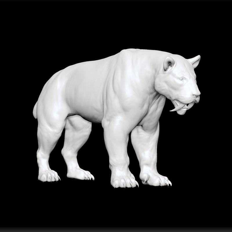 smilodon - saber-toothed predator - prehistoric mammal