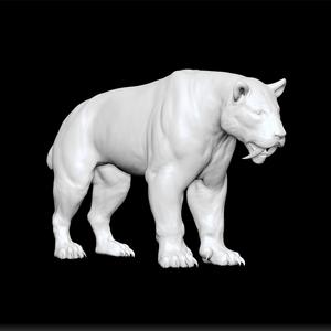 smilodon - saber-toothed predator - prehistoric mammal