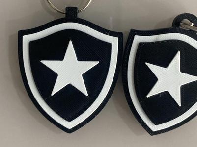 Botafogo FC 