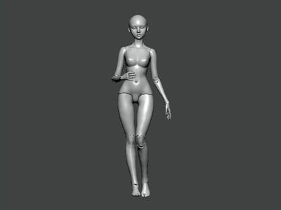 3D Model-ANATOMY0022 female mannequin