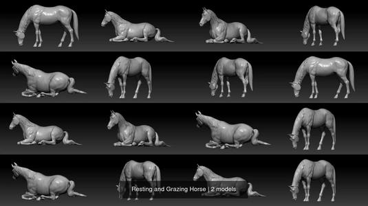 Resting and Grazing Horse 3D Model Collection