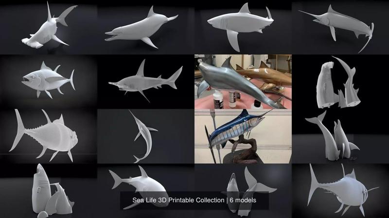 Sea Life 3D Printable Collection