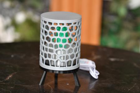 Birdcage night light