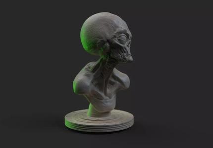 Grey Alien  Bust