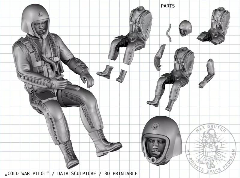 X-Plane Pilot