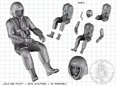X-Plane Pilot