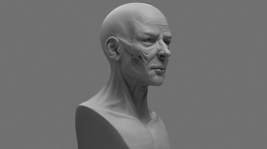 Stylized Anatomy Face 3D print model