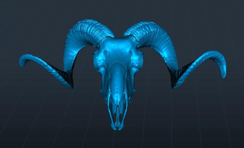 Ram Skull
