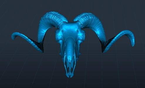 Ram Skull