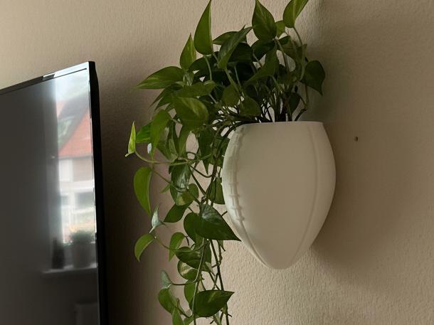 Football Plant Holder for Wall Mounting