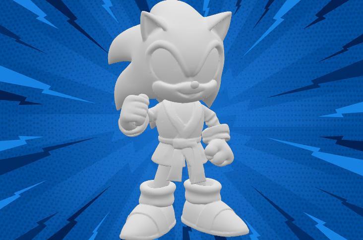 Sonic-Inspired Martial Arts Fighter