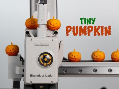 Hallowen Tiny Pumpkin 