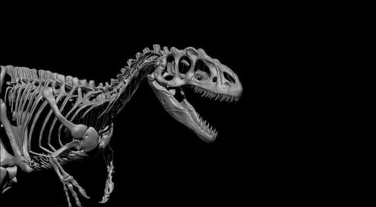 ALLOSAURUS  CAMINANDO PARA ESCALA 1-20