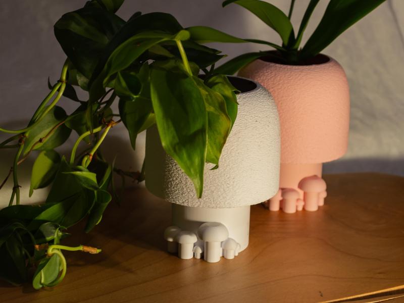 Mushroom Style Wall Planter - Detachable with Drip tray