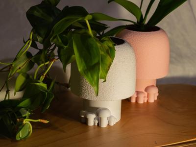 Mushroom Style Wall Planter - Detachable with Drip tray