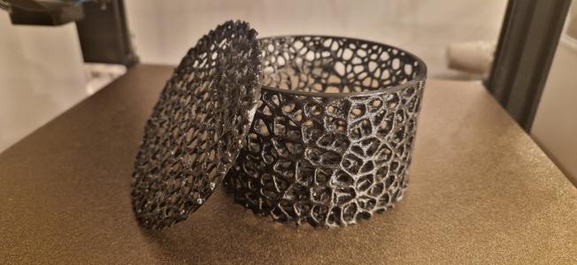 MushRoom Coral Cages Voronoi