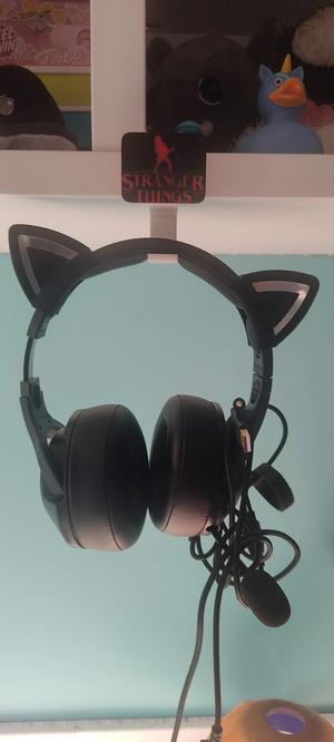 Headphone hanger with interchangeable detail