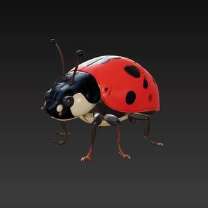 Ladybug