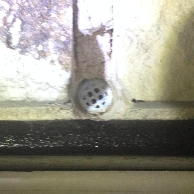 Weep Hole Cap