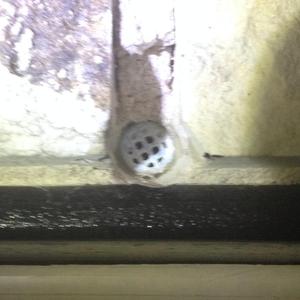 Weep Hole Cap