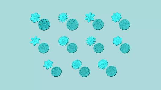 11 Margarita Flowers Collection - Mold Silicon Maker - Template