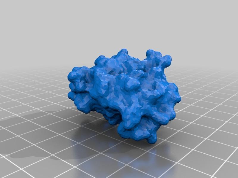 Insulin molecule