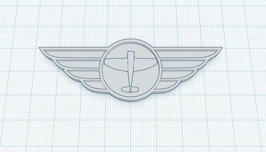 RC Plane Flying Wings