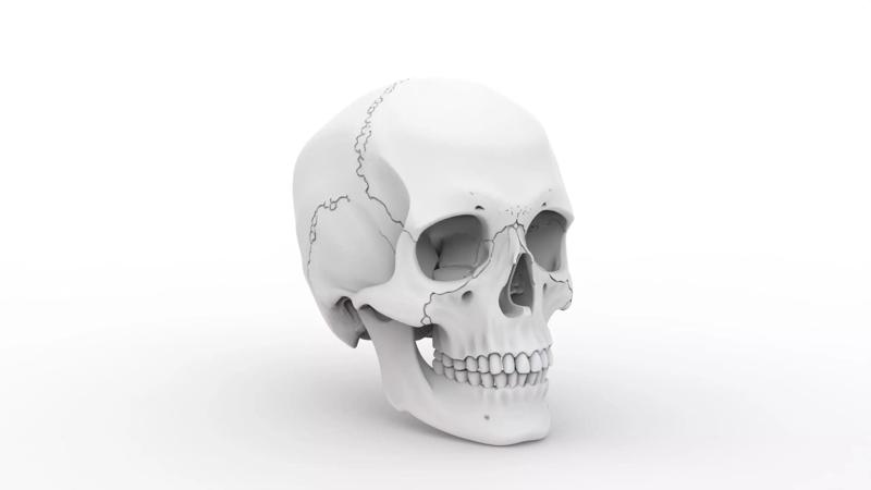 Human Skull Print Mode