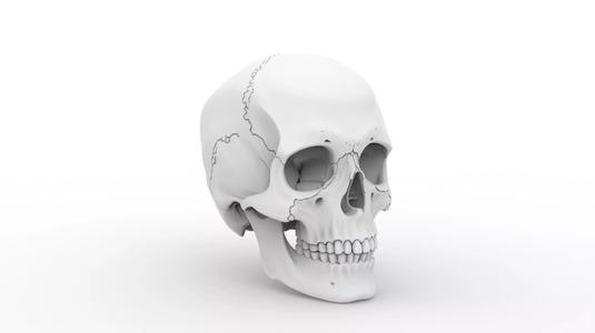Human Skull Print Mode