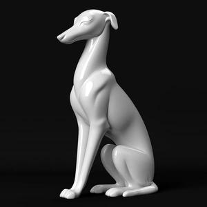 Italian Greyhound