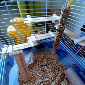 Track supports for hamster cages