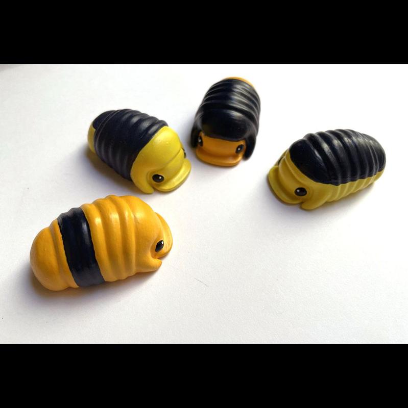 Cubaris Rubber Ducky Isopod Roly Poly