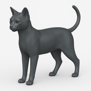 Cat standing