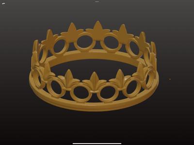 The Snake Prince's Crown Bookshelf Decor - TCP and FOTA Inspired Bookish Decor