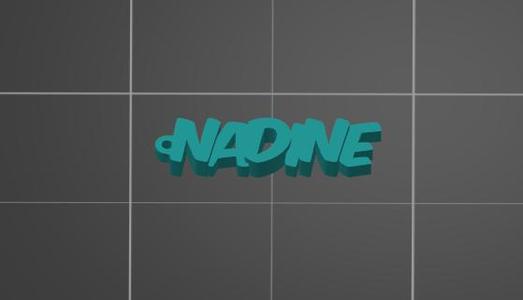 Nadine key fob