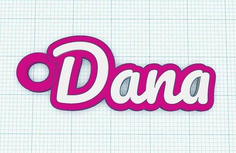 Fancy Keychain Name Tag - Dana