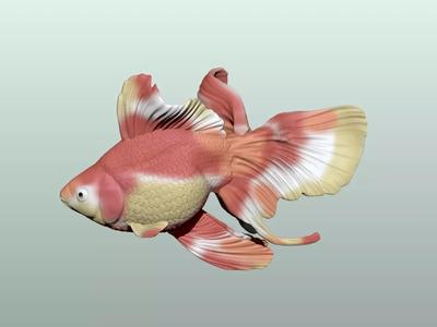 Goldfish Pose 3